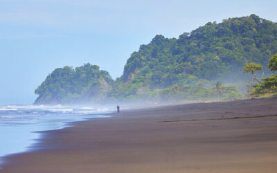 Costa Rica Surf Spots: Best Beaches to Surf in Costa Rica