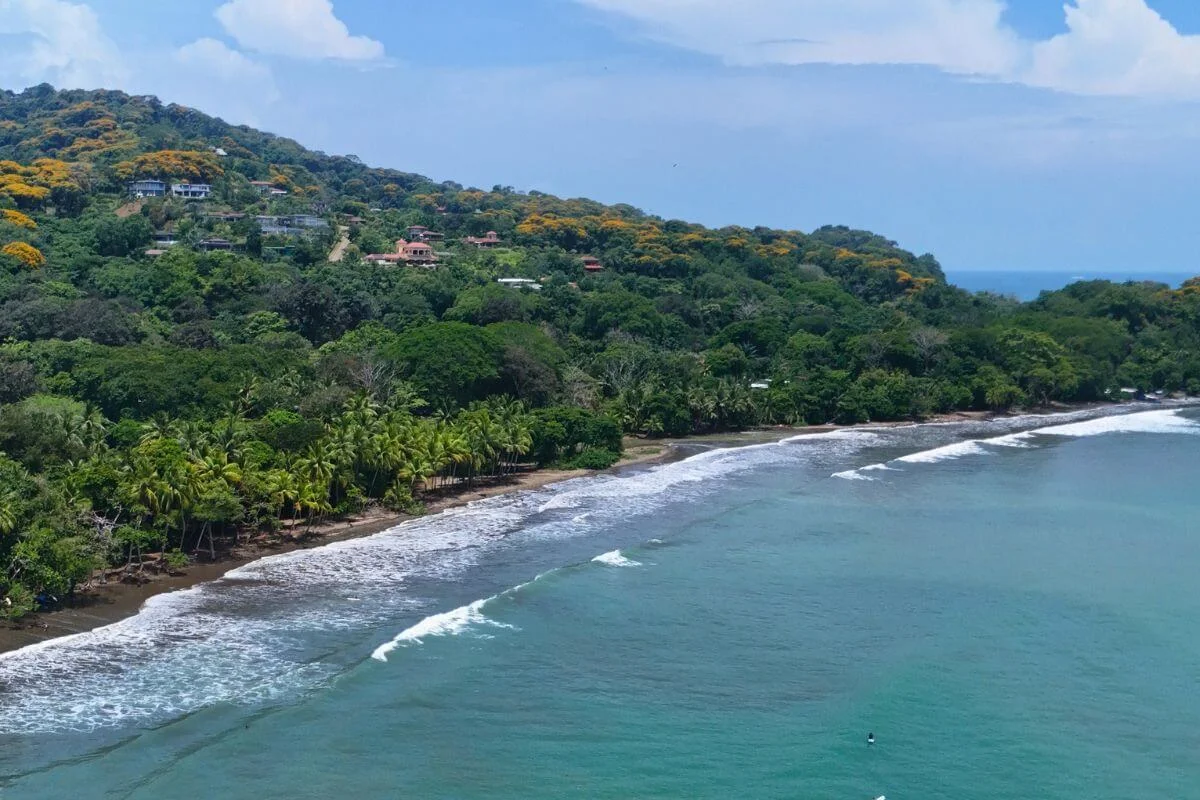 Drone shot of lush jungle meeting a curved beach with gentle surf and hillside homes above