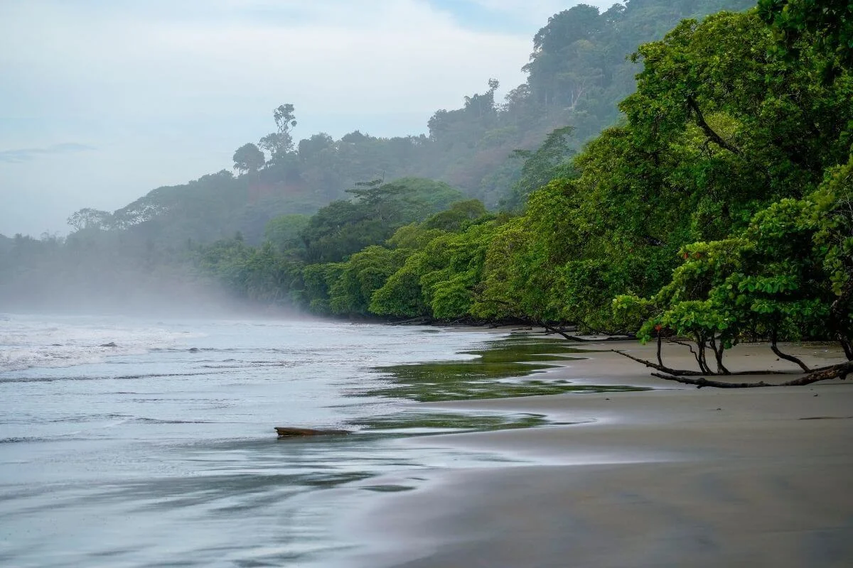 Misty jungle coastline along Costa Rica beach