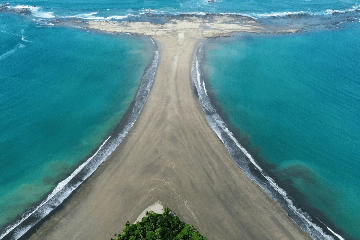 High-angle drone shot of Marino Ballena National Park's natural whale-tail-shaped sandbar surrounded by turquoise ocean waters.