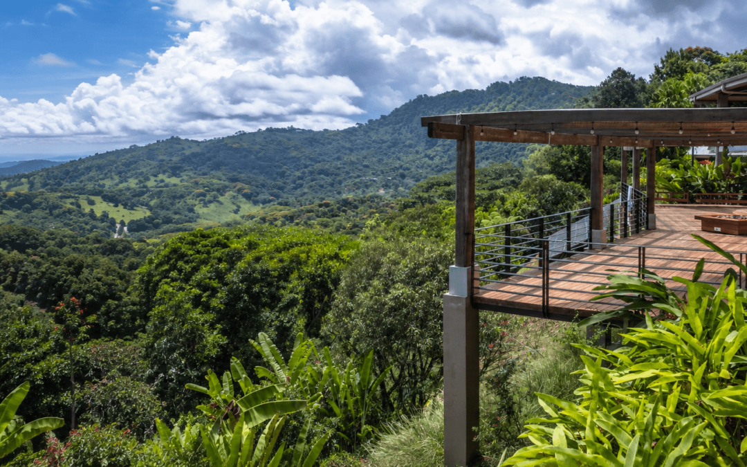 Wildlife Near Dominical, Costa Rica: What You May See and Where